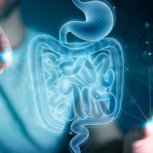 Tradicionalmente usada por sus propiedades antimicrobianas, antiinflamatorias y digestivas. Apoya la salud intestinal y puede contribuir al control de la glucosa.