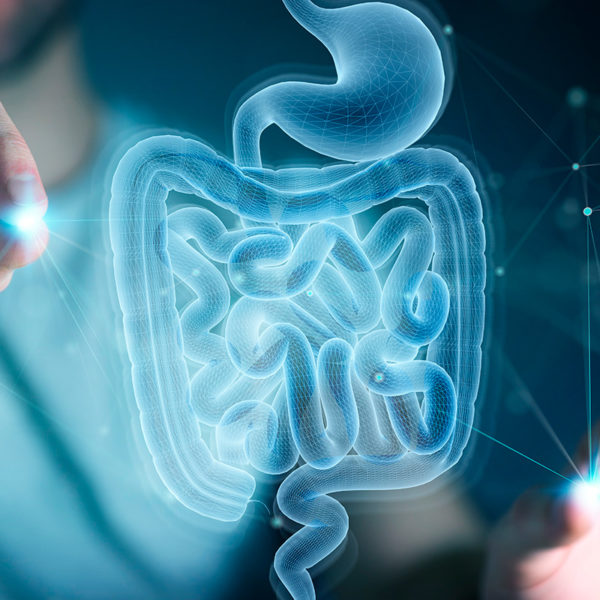 Tradicionalmente usada por sus propiedades antimicrobianas, antiinflamatorias y digestivas. Apoya la salud intestinal y puede contribuir al control de la glucosa.